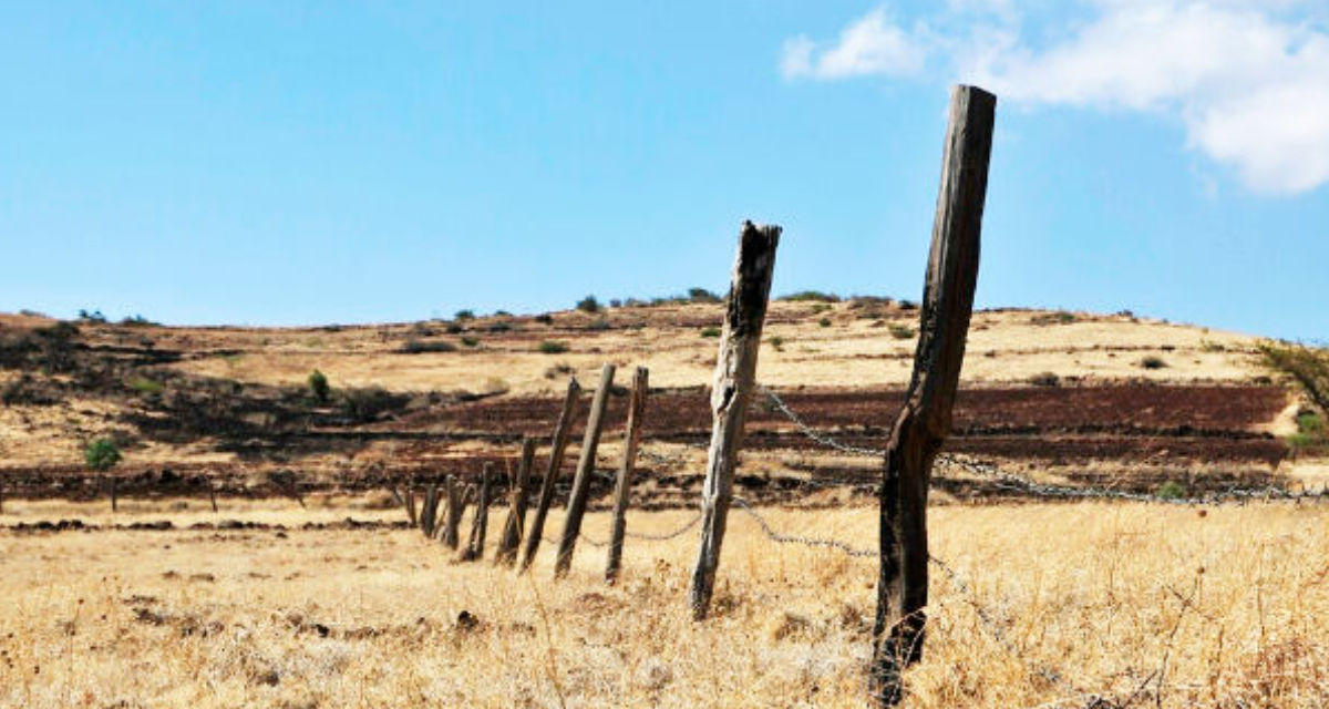 Region Mount-Kenya | Alliance of Bioversity International and CIAT | flickr | CC BY-SA 2.0 Region Mount-Kenya | Alliance of Bioversity International and CIAT | flickr | CC BY-SA 2.0